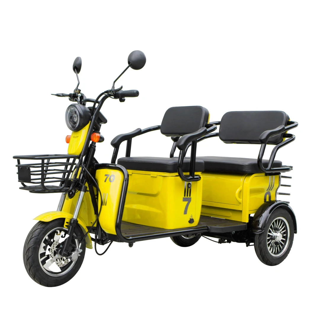 Saige Passage City Leisure Electric Trike Adult EEC E-Trike