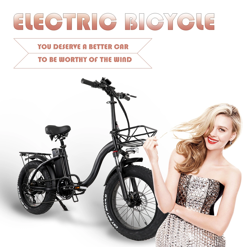 Step Through Fat Tyre 15ah Battery 750W Motor Electric Vehicle Foldable Electric Fat Bike