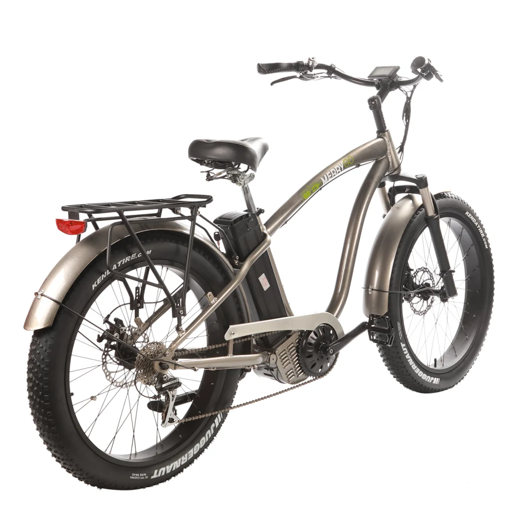 China 750W Fat Tire Electric Bicycle Ebike for Man with Full Suspension