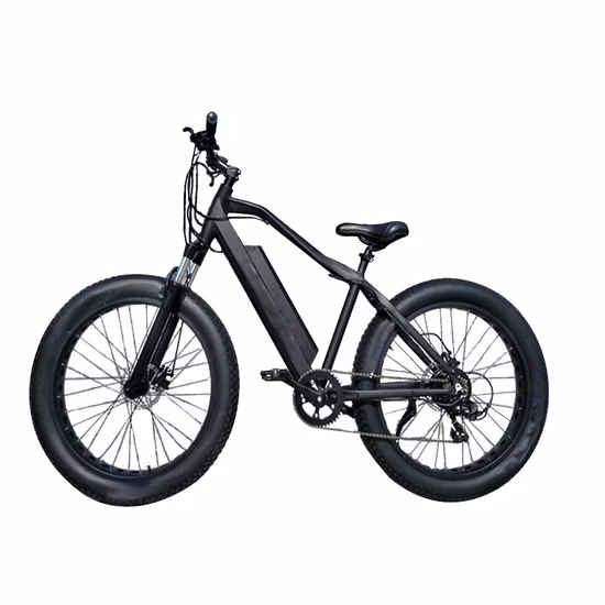 500W/750W/1000W 26 Zoll 100 Nm シマノ 7 ギャング MTB ファットタイヤ Elektrisches マウンテンバイク スノークルーザー E バイク
