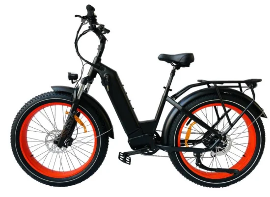 Queene 良質 1000 ワット MID ドライブ電動自転車フルサスペンションファットタイヤマウンテン Bici elettrica E-バイク