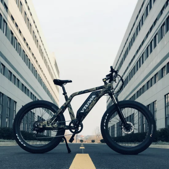 500W/750W/1000W 26 Zoll 100 Nm シマノ 7 ギャング MTB ファットタイヤ Elektrisches マウンテンバイク スノークルーザー E バイク