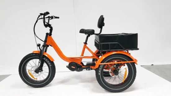 セントラルカーゴモーター付き3輪ヘビーデューティ電動三輪車、大人用カスタマイズ電動三輪車